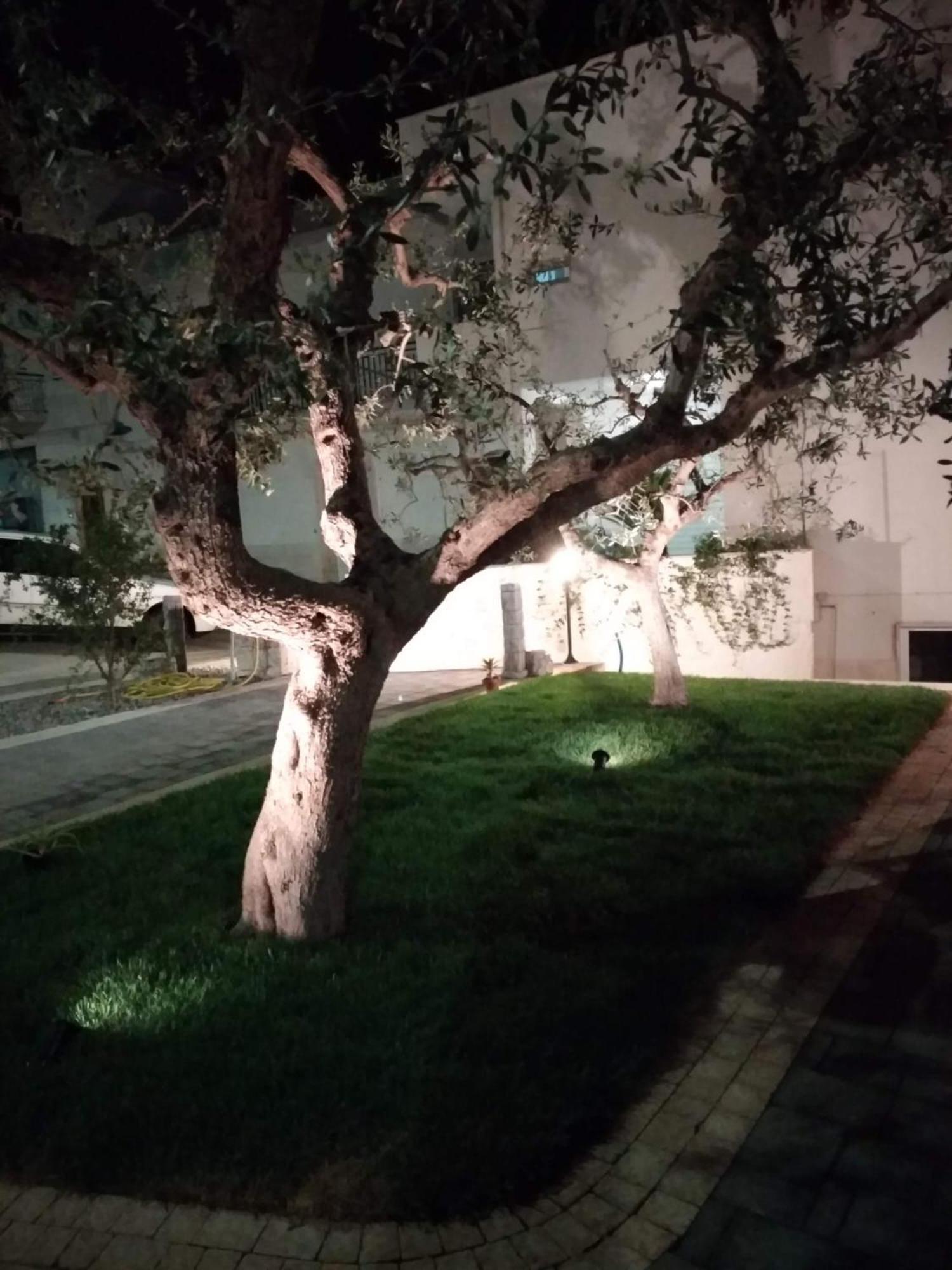 I Cinque Ulivi Apartment Alberobello Exterior photo