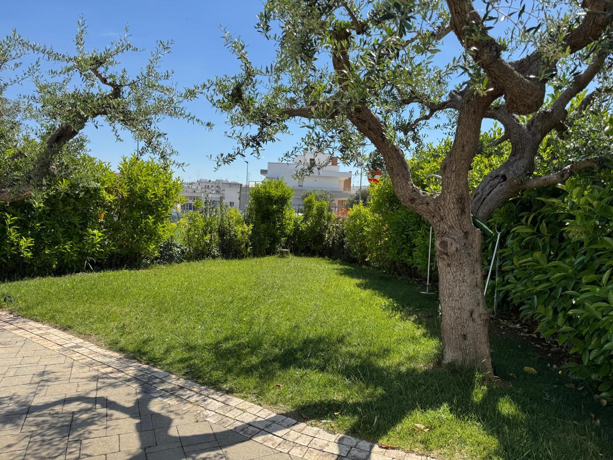 I Cinque Ulivi Apartment Alberobello Exterior photo